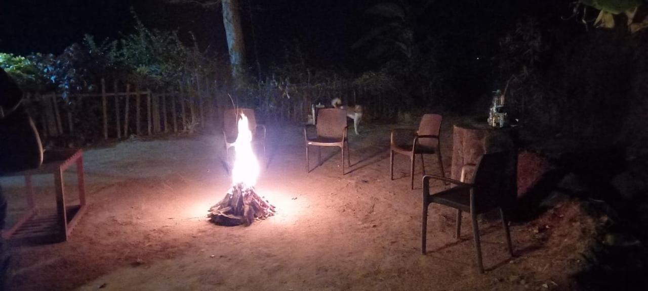 Westernghats Homestay マディケーリ エクステリア 写真