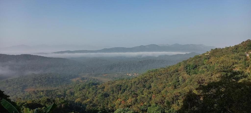 Westernghats Homestay マディケーリ エクステリア 写真