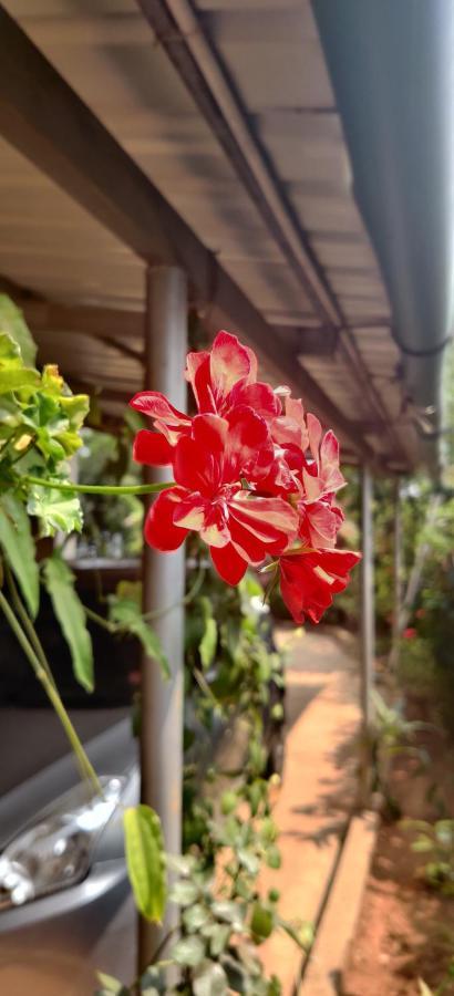 Westernghats Homestay マディケーリ エクステリア 写真