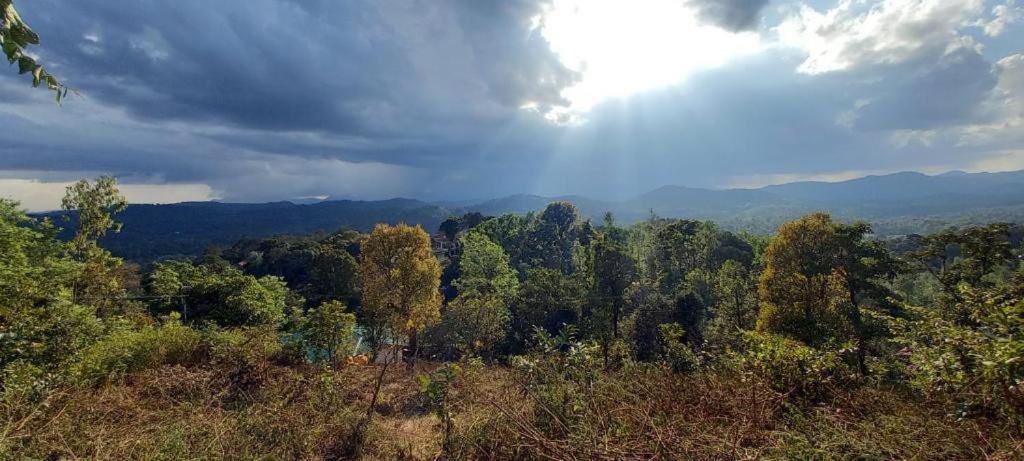 Westernghats Homestay マディケーリ エクステリア 写真